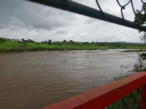 Aliporewala Meadows