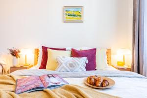 Prague Days - One Bedroom Apartment with King Bed & Elevator in New Town