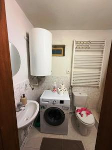 Apartmán Dolní Habartice