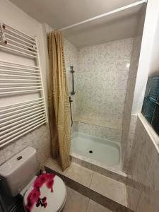 Apartmán Dolní Habartice