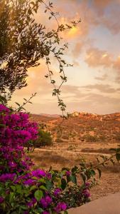 Appartement dans les haut de Taghazout
