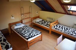 Nest Hostel