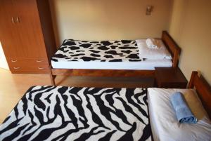 Nest Hostel