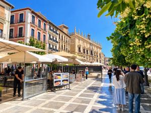 Rodrigo Campo Suites en el centro de Granada y a 10 min de la Alhambra y