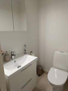 New 13th Floor 2BR Apt with Lake Views