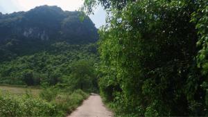 Tam Coc Golden Valley