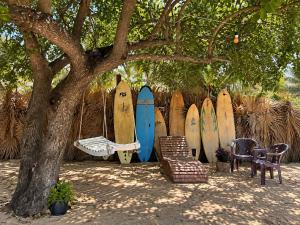 Kora Beach House & Restaurant Cafe