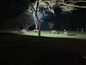 Muthu Lake Naivasha Country Club, Naivasha