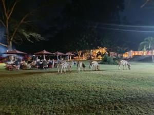 Muthu Lake Naivasha Country Club, Naivasha