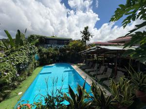 Ballena Rey Hotel