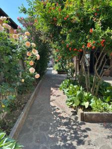 Sabotino Garden House