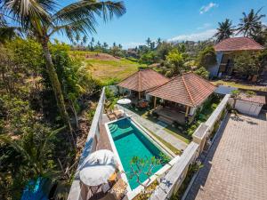 Segara Living 2