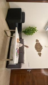 Aasharey- curated space and timeless living