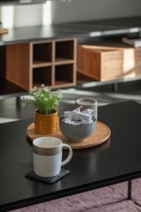 Mysterious Blue Apartment with Two Bedrooms and Balcony in Świnoujście by Noclegi Renters