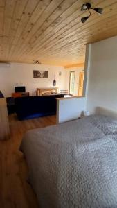 Apartma Draga