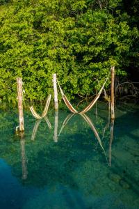 7 CIELOS BACALAR.