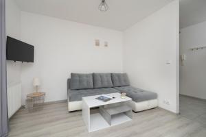 Bażantów Studio with Balcony Katowice by Noclegi Renters