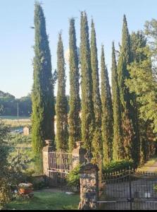 Geggiano Woods Suite - Tuscan Charm near Siena