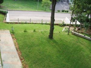 Apartments Viktorija