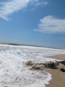 Departamento en Mazatlan a unos pasos de playa