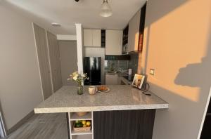 Movistar Arena | 1BR 1BA | Parque OHiggins