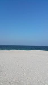 B&B / Chambres d'hotes Hon-ty : photos des chambres