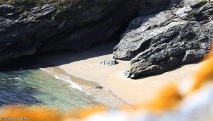 B&B / Chambres d'hotes Hon-ty : photos des chambres