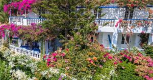 Angelika Leros Greece