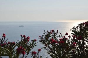 Sea View Stone Residence Andros Greece