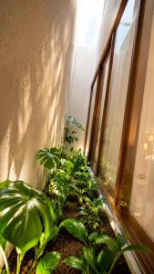 New! 4BR Pool Villa Berawa - Walk to Atlas&Finns!