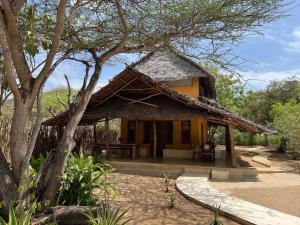 Mangrove House