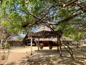Mangrove House