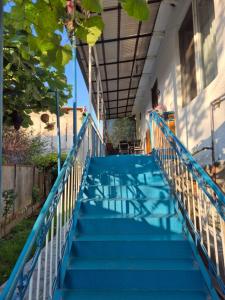 Guesthouse Luika
