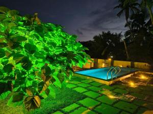 Riva sera by Oshin Riviera