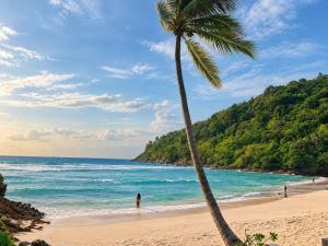 Premier Pool Access Residence, Tri Trang beach