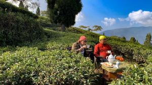 Yule Tea Retreat, Darjeeling