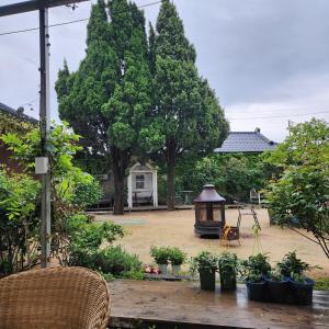 Hwangnidan-gil and Daereungwon Cheomseongdae Donggung and Wolji Walking Trip Garden Bulmung Barbecue Available Free Breakfast Apple