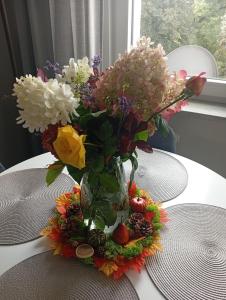 Apartament w centrum