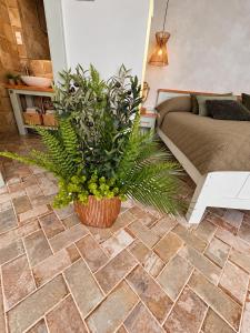 Szőlő52 Apartman