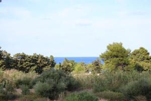 Green Village Apartment Carini