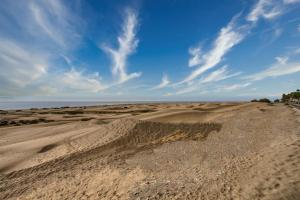 Descanso junto a las dunas