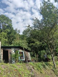 Jungle Side Homestay