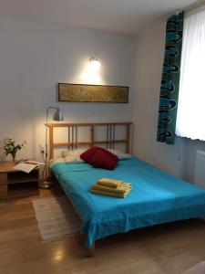 Small Double Room room in Willa Krystyna