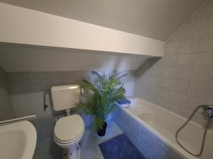 Apartment-Koželj