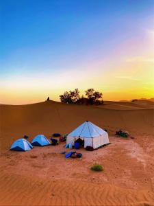 Sahara Vibe Camp