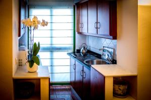 Apartamento Carabeo 41