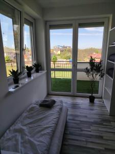 Penthouse Apartman