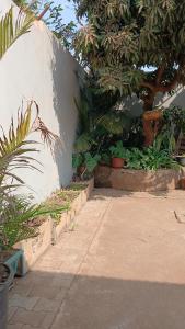 The Manaka House Apartments