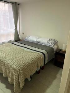 Apartment in Santiago