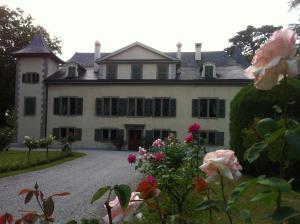 Château de Veigy photo 6